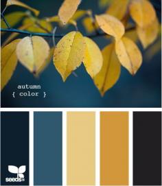 Autumn Blues: Navy, Grey Blue, Gold, Pale Yellow and Dark Gray