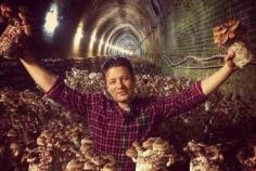 Farmers slugged for Woolworths Jamie Oliver campaign