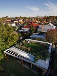 Emilio Fuscaldo is reaping the benefits of installing a green roof on top of his family home in the Melbourne suburb of Coburg. Since installing the roof, the architect has cut his energy bills by more than a quarter www.abc.net.au/...
