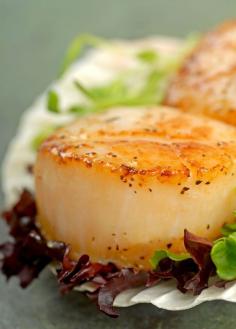 Pan-Seared Scallops with Herb Butter Sauce