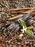 Coffee Beans, Vanilla Pods and Cinnamon Sticks Photographic Print by Karl Newedel #EasyPin