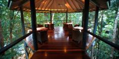 Silky Oaks Lodge, 5* ecolodge. Dineren tussen de boomtoppen.