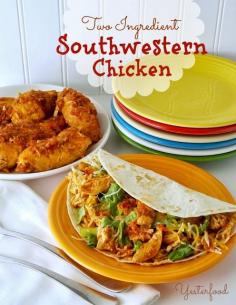 Yesterfood : Two Ingredient Southwestern Chicken (Crock Pot)
