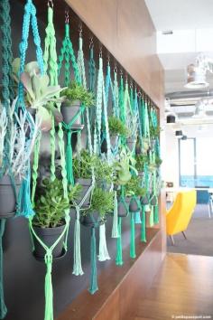 The Student Hotel Amsterdam - love the retro plant holders