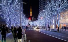 Illumination Street @ Tokyo, Japan