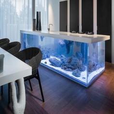 Modern kitchen island doubles as spectacular fish tank
