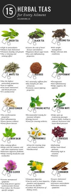 Health Benefits of Tea + 15 TEAS FOR ANY AILMENT