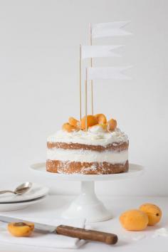 gluten free coconut apricot cake