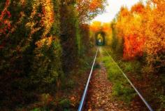 Autumn Love Tunnel