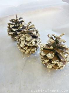 
                        
                            DIY Glitter Pinecones - great to do with kids!
                        
                    