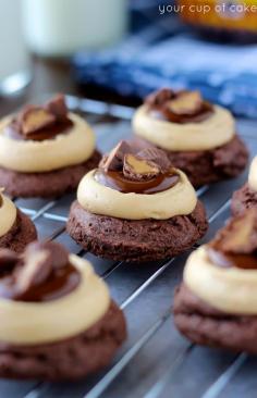 
                        
                            Peanut Butter Brownie Bites - Your Cup of Cake
                        
                    
