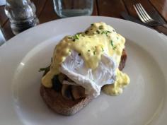 
                        
                            Eggs benedict  - Robo Cog,  Surry Hills, NSW, 2010 - TrueLocal
                        
                    