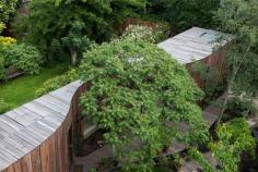 
                        
                            Tree House by 6a Architects | www.yellowtrace.c...
                        
                    