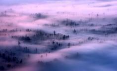 
                        
                            Fog in Bromo-Tengger-Semeru National Park
                        
                    