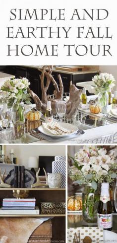 
                        
                            Earthy fall home tour by Dwellings by DeVore
                        
                    