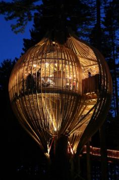 Tree Restaurant, Auckland, New Zealand. Like I needed another reason to want to go there