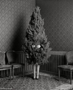 
                    
                        gallerystockphoto:  Geof Kern
                    
                