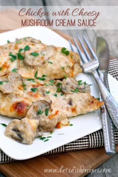 
                    
                        Chicken with Cheesy Mushroom Cream Sauce
                    
                