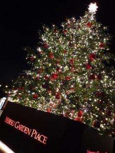 
                    
                        Christmas Tree @ Yebisu Garden Place, Tokyo, 2014
                    
                