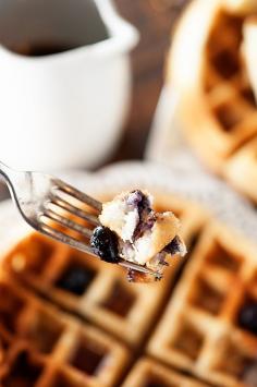 
                        
                            blueberry muffin waffles
                        
                    