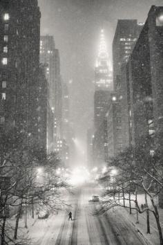 
                    
                        New York Winter
                    
                