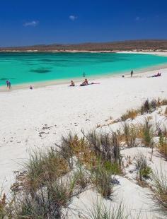 
                    
                        Ningaloo Reef, Australia
                    
                