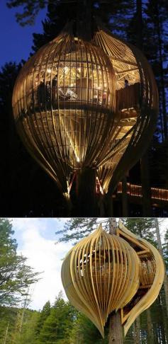 
                    
                        The Yellow Tree House by Pacific Environment Architects is built around a redwood tree, which is over 40m high and has a 1.7m diameter at its base, located north of Auckland, New Zealand.
                    
                