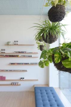 
                    
                        simple wood shelving and hanging plants
                    
                