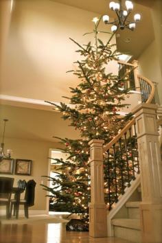 Decorate Your Stair case Whit Christmas Tree