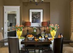 
                        
                            Chocolate brown for low-light rooms creates warmth and depth
                        
                    