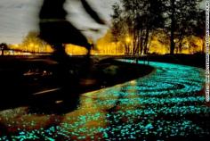 
                    
                        'Starry Night' bike path inspired by Van Gogh - 1-kilometer-long Van Gogh-Roosegaarde cycle path, which opened in the city of Eindhoven!
                    
                