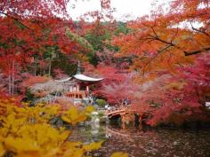 
                    
                        Autumn in Kyoto, Japan 2014
                    
                
