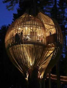 Yellow Tree House kentworthington