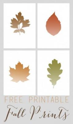 Free Printable Simple Ombre Fall Leaf Prints