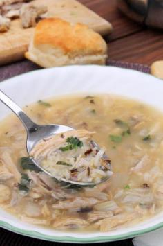 
                    
                        Gingered Turkey & Rice Soup with Basil
                    
                