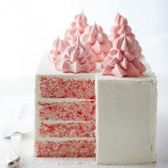 
                    
                        Winter Wonderland Cake
                    
                