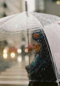 
                    
                        79ideas-rainy-morning-umbrella.png (720×1025)
                    
                