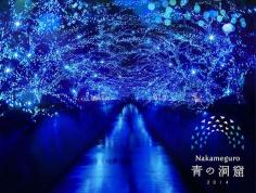 
                    
                        Christmas Blue Illumination 2014 @ Nakameguro, Tokyo
                    
                