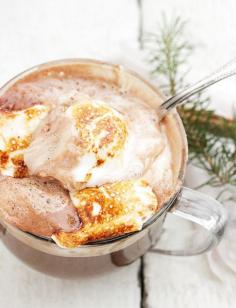 
                    
                        Melted Ice Cream Hot Chocolate with Toasted Marshmallows
                    
                