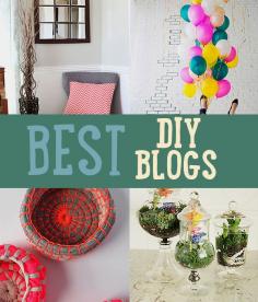 
                    
                        Best DIY Blogs | Sites With Bragging Rights |  Just a few of our favorite DIY bloggers diyready.com/...
                    
                