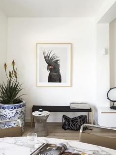 
                    
                        Decus Interiors | Tamarama Apartment | Est Magazine
                    
                