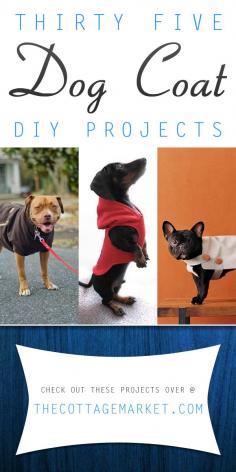
                    
                        35 DIY Dog Coats #DogCoatDIYProjets, #DogCoatProjects, #HowToMakeADogCoat
                    
                