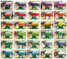 
                    
                        Many Pantone Color Gate Versions of Shaun the Sheep around Harbour City Hong Kong
                    
                