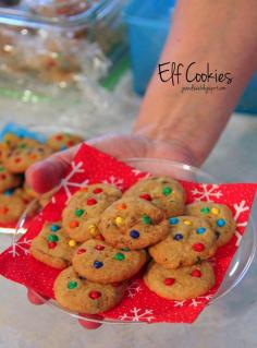 
                    
                        Jo and Sue: Elf Cookies
                    
                