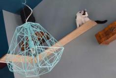 
                    
                        Tommaso Guerra designs a whimsical cat cafe
                    
                