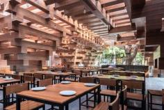 
                    
                        Stacks of timber create an open light-filled space for this restaurant
                    
                