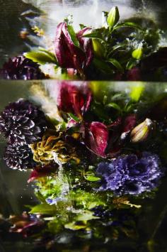 
                    
                        This Is What Happens When You Encase Flowers In Giant Cubes Of Ice
                    
                