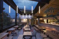 
                    
                        TDDA designs a rooftop bar in Mexico City
                    
                