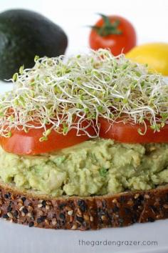 Chickpea Avocado Mash with Lemon is our favorite go-to lunch and takes only 5 minutes to make! | thegardengrazer.com | #vegan #avocado #chickpea