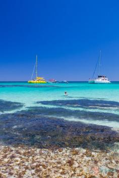 
                    
                        Rottnest Island, Western Australia
                    
                